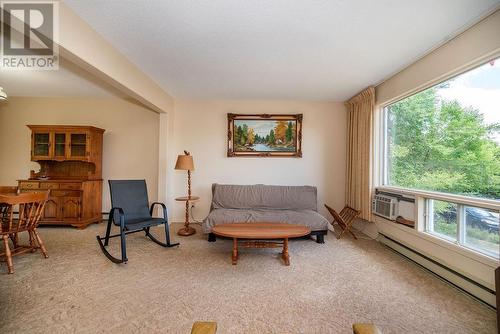 19 Peter Street, Laurentian Hills, ON - Indoor Photo Showing Living Room
