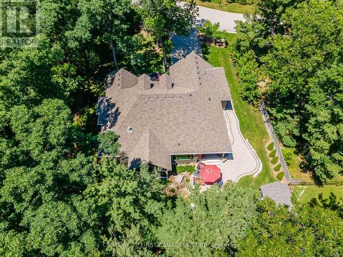 8713 Timberwood Trail, Lambton Shores, ON - Outdoor