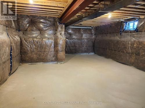 13 Rosanne Circle, Wasaga Beach, ON - Indoor Photo Showing Basement