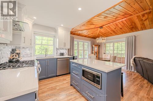 143 South Waseosa Lake Road, Huntsville, ON - Indoor Photo Showing Kitchen With Upgraded Kitchen