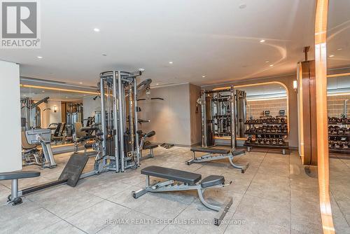 735 - 1100 Sheppard Avenue, Toronto, ON - Indoor Photo Showing Gym Room