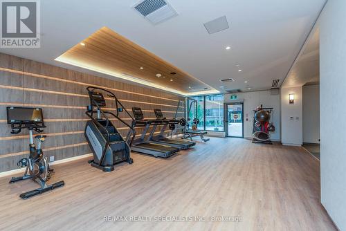 735 - 1100 Sheppard Avenue, Toronto, ON - Indoor Photo Showing Gym Room