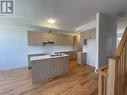 86 Salina Street, Mississauga, ON  - Indoor Photo Showing Kitchen With Double Sink 