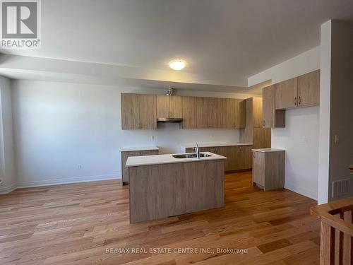 86 Salina Street, Mississauga, ON - Indoor Photo Showing Kitchen With Double Sink