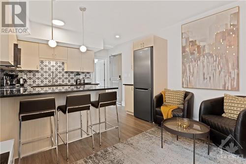 388 Chapel Street, Ottawa, ON - Indoor Photo Showing Kitchen With Upgraded Kitchen