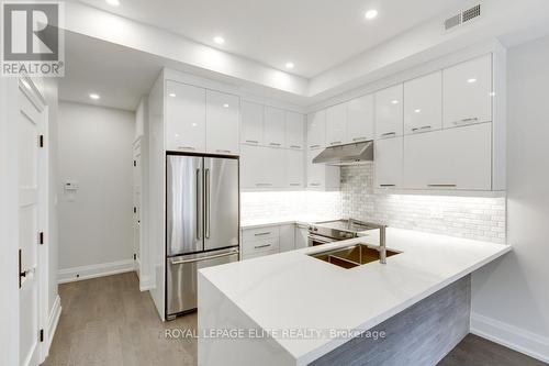 247 Concord Avenue, Toronto, ON - Indoor Photo Showing Kitchen With Double Sink With Upgraded Kitchen