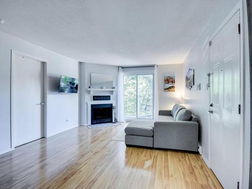 Living room - 162 Av. Des Jonquilles, Gatineau (Hull), QC - Indoor Photo Showing Living Room With Fireplace