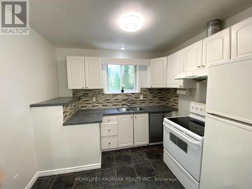 358 Browndale Crescent, Richmond Hill, ON - Indoor Photo Showing Kitchen With Double Sink