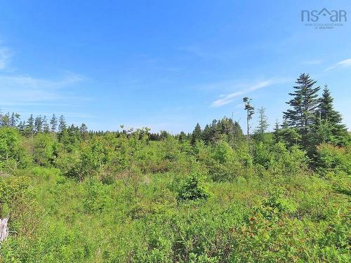 Lot 2 Old Trunk 4 Highway, Soldiers Cove, NS 