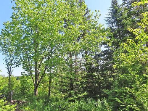 Lot 2 Old Trunk 4 Highway, Soldiers Cove, NS 