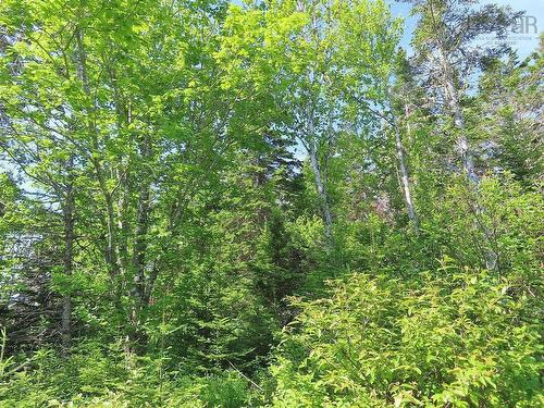 Lot 2 Old Trunk 4 Highway, Soldiers Cove, NS 