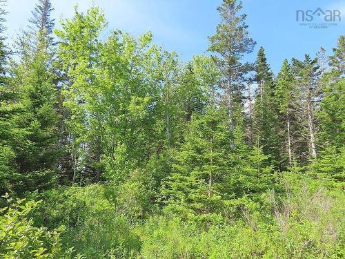 Lot 2 Old Trunk 4 Highway, Soldiers Cove, NS 