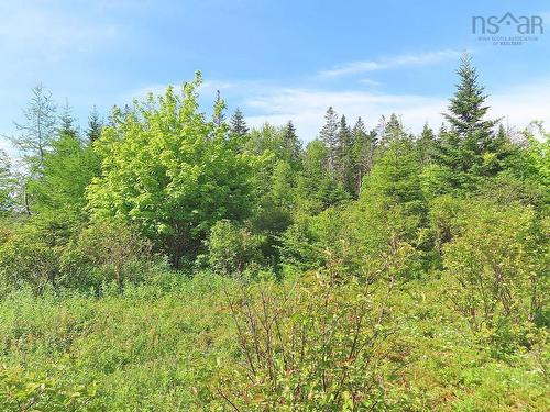 Lot 2 Old Trunk 4 Highway, Soldiers Cove, NS 