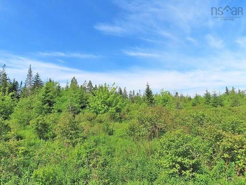 Lot 2 Old Trunk 4 Highway, Soldiers Cove, NS 