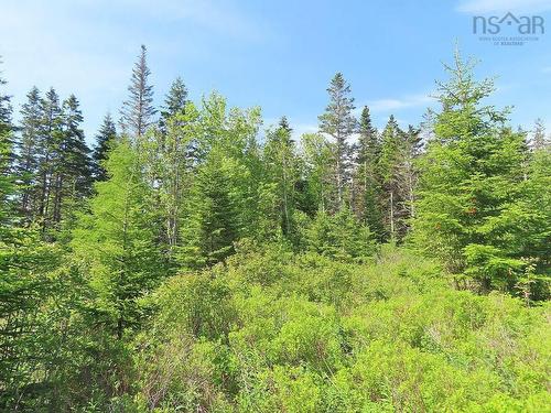 Lot 2 Old Trunk 4 Highway, Soldiers Cove, NS 