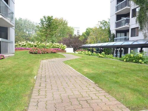 Jardin - 712-3470 Rue Simpson, Montréal (Ville-Marie), QC - Outdoor