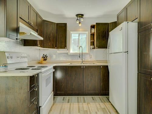 Kitchen - 117  - 119 Rue Brière, Saint-Jérôme, QC - Indoor Photo Showing Kitchen With Double Sink