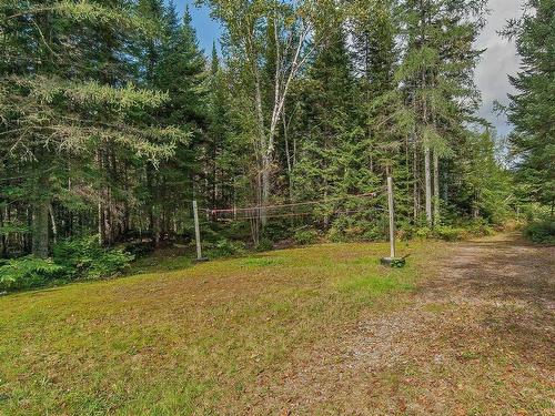 Terre/Terrain - 545 Ch. St-Guillaume, Saint-Donat, QC - Outdoor