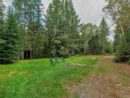 Terre/Terrain - 545 Ch. St-Guillaume, Saint-Donat, QC - Outdoor