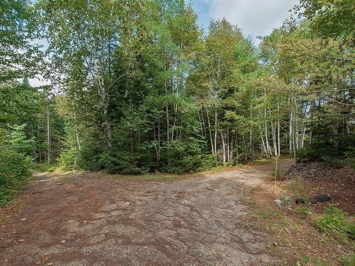Terre/Terrain - 545 Ch. St-Guillaume, Saint-Donat, QC - Outdoor With View