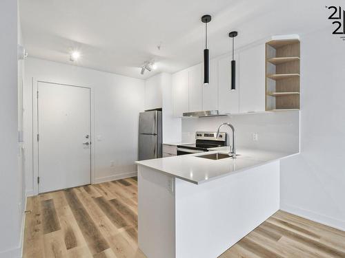 Cuisine - 210-2121 Av. Papineau, Montréal (Ville-Marie), QC - Indoor Photo Showing Kitchen With Double Sink With Upgraded Kitchen