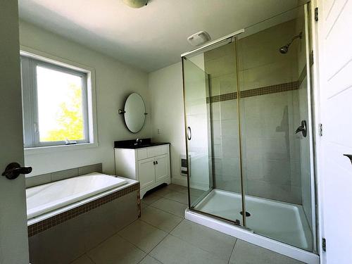 Bathroom - 4575 Rue De La Rogeloise, Sainte-Adèle, QC - Indoor Photo Showing Bathroom