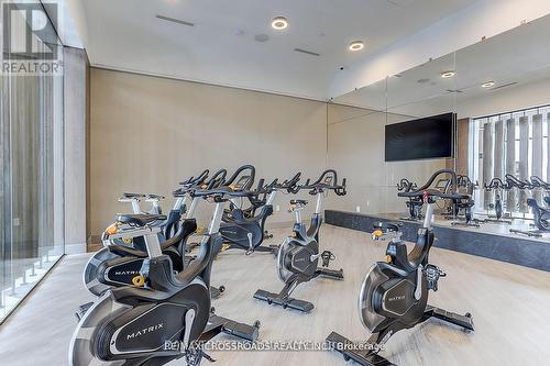 4010 - 30 Inn On The Park Drive, Toronto, ON - Indoor Photo Showing Gym Room