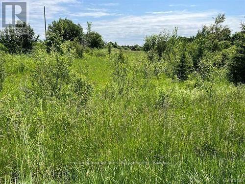 Vacant Lot Concession 10 Road, South Glengarry, ON 