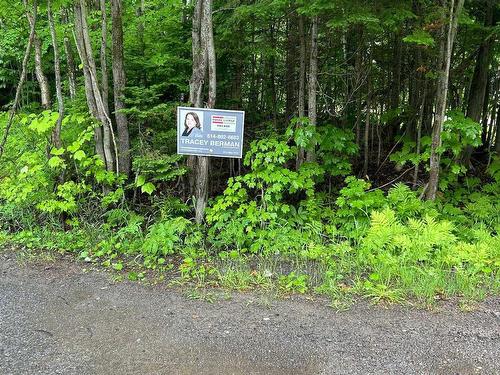 Terre/Terrain - Rue Bazinet, Val-Morin, QC 