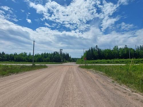 197 + / - Back Road, Thibeauville, NS 