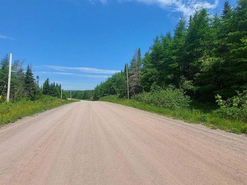 197 + / - Back Road, Thibeauville, NS 