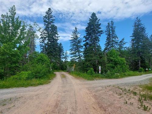 197 + / - Back Road, Thibeauville, NS 