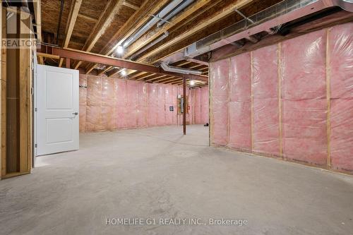 456 Turmeric Court, Ottawa, ON - Indoor Photo Showing Basement