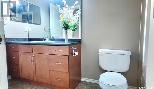 219 105 Lynd Crescent, Saskatoon, SK - Indoor Photo Showing Bathroom
