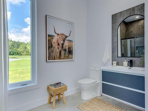 Bathroom - 117 Ch. Santerre, Sutton, QC - Indoor Photo Showing Bathroom