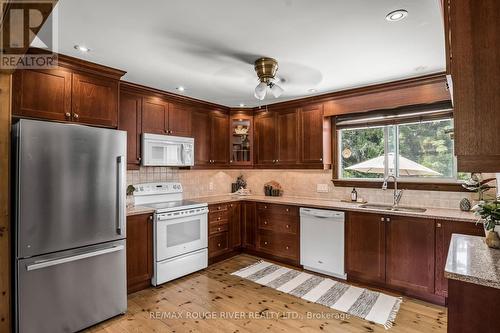 201 Ski Hill Road, Kawartha Lakes, ON - Indoor Photo Showing Kitchen With Double Sink