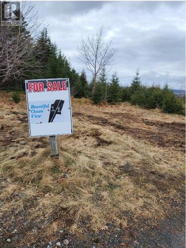 111 A Point Road, Chapel'S Cove, NL 