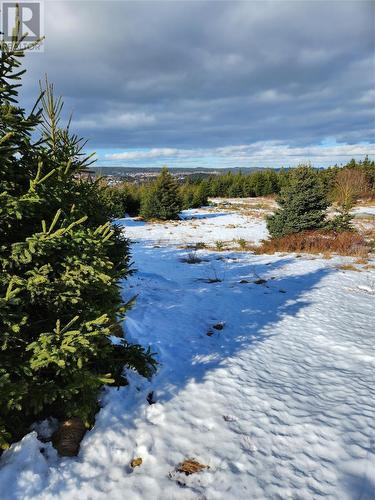 111 A Point Road, Chapel'S Cove, NL 