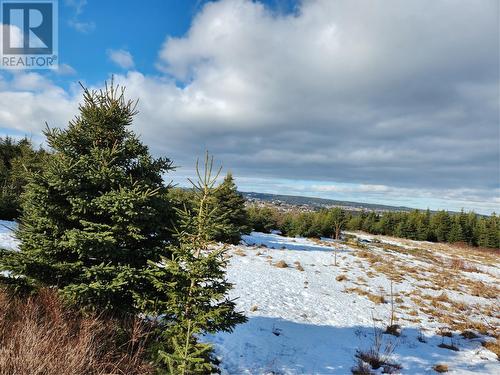 111 A Point Road, Chapel'S Cove, NL 