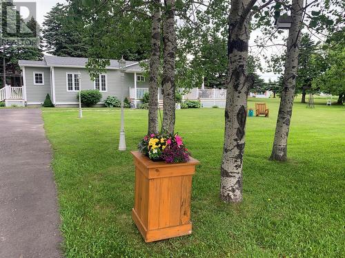 81 Main Street, Comfort Cove-Newstead, NL - Outdoor