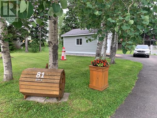 81 Main Street, Comfort Cove-Newstead, NL - Outdoor