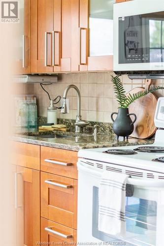 1703 Labadie, Windsor, ON - Indoor Photo Showing Kitchen