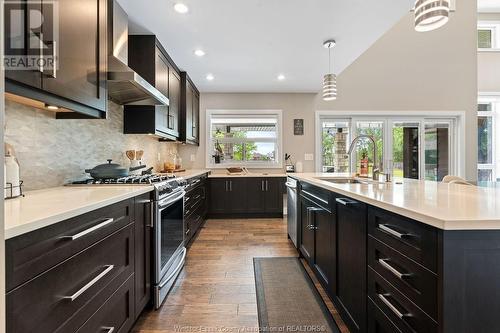 911 Jarvis Avenue, Windsor, ON - Indoor Photo Showing Kitchen With Upgraded Kitchen