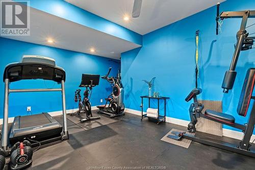 911 Jarvis Avenue, Windsor, ON - Indoor Photo Showing Gym Room
