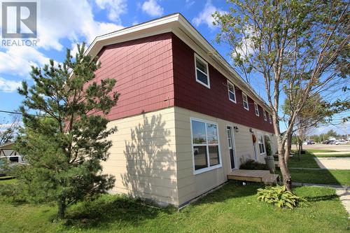 18 Farm Road, Deer Lake, NL 