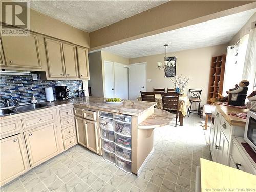 3032 Route 205, Saint-François-De-Madawaska, NB - Indoor Photo Showing Kitchen With Double Sink