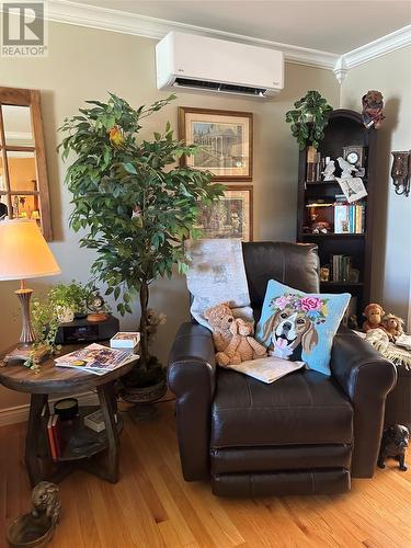 363 Newfoundland Drive, St. John'S, NL - Indoor Photo Showing Living Room