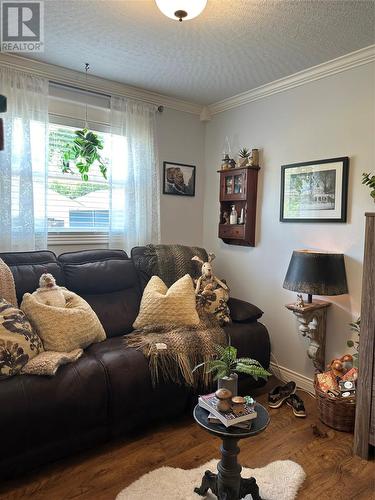 363 Newfoundland Drive, St. John'S, NL - Indoor Photo Showing Living Room