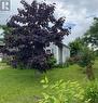 19 Woodland Street, Stephenville, NL  - Outdoor 