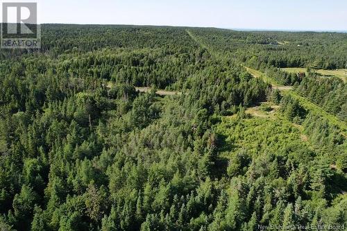 - Dark Harbour Road, Grand Manan, NB 